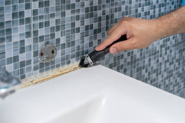 Best Residential Mold Removal  in St Clair, PA