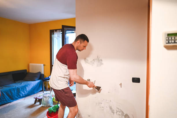 Best Emergency Mold Removal  in St Clair, PA