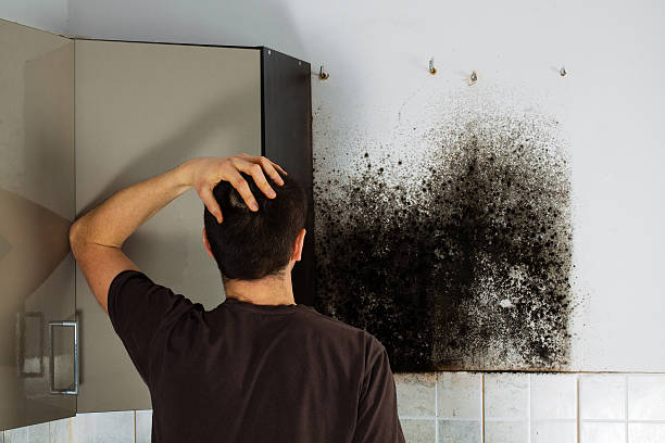 Best Mold Remediation Services  in St Clair, PA
